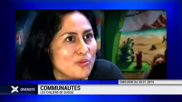 Best of: une année de Diversité sur la Télé