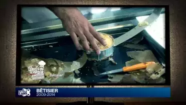 5 ans de bêtises télévisuelles