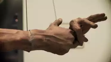 Bruce Nauman - Hand Circle