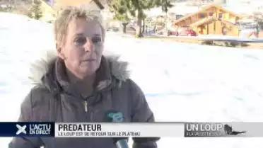 Témoignage: le loup s&#039;approche à 50 mètres de sa maison