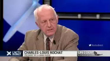 Le loup est de retour sur le plateau