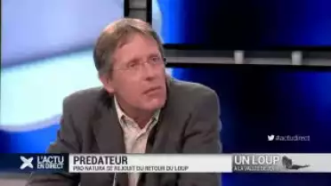 Pro Natura se réjouit du retour du loup