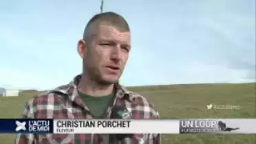 Deux moutons tués à Suchy le 6 décembre : l&#039;éleveur raconte