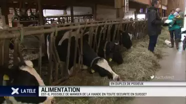 Peut-on manger de la viande en toute sécurité en Suisse?