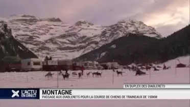 Passage aux Diablerets pour la course de chiens de traîneaux