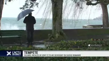 Le calme avant la tempête