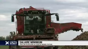 Vers un désaccord du monde paysan ?