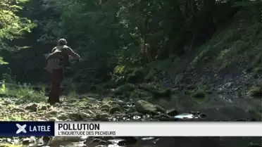 Les cours d’eau suisses sont un cocktail de pesticides