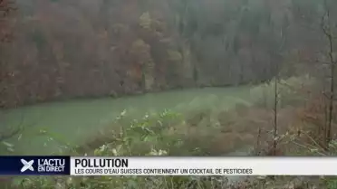 L'union suisse des paysans prend les accusations au sérieux