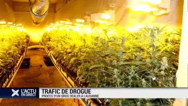 Le procès d&#039;un gros dealer souvre à Lausanne
