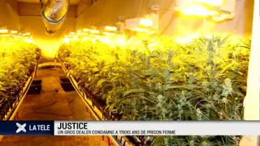 Un gros dealer condamné à trois ans de prison ferme