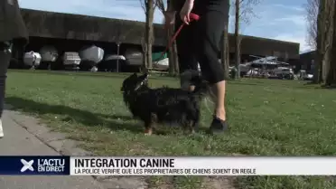 Les propriétaires de chiens contrôlés par la police