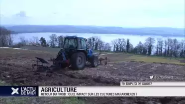Retour du froid : quel impact sur les cultures maraîchères ?