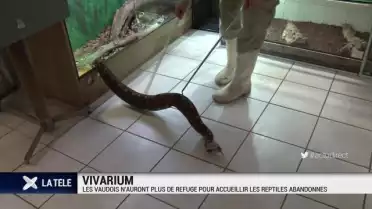 Le refuge du Vivarium ne sera pas sauvé