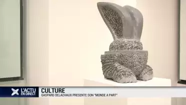 Gaspard Delachaux à l&#039;honneur à l&#039;Espace Arlaud