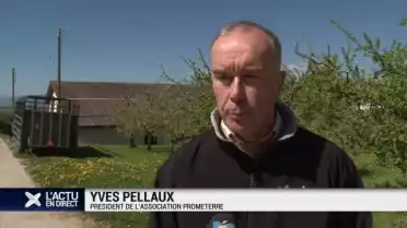 Les paysans suisses face aux semences