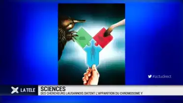 Des chercheurs de l&#039;UNIL datent l&#039;apparition du chromosome Y