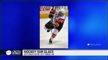 Gottéron s&#039;offre Jeff Tambellini