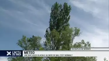 Une bise aussi glaciale au mois de mai, c&#039;est normal ?