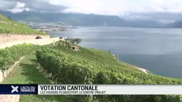 Sauver Lavaux: les Vaudois plébiscitent le contre-projet