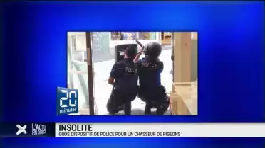 Un chasseur de pigeon sème la panique au centre de Lausanne