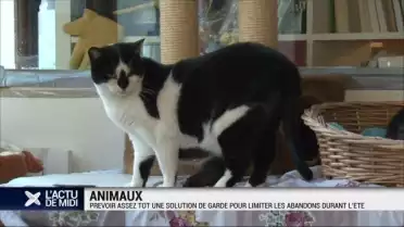Propriétaires d&#039;animaux, prévoyez vos solutions de garde!