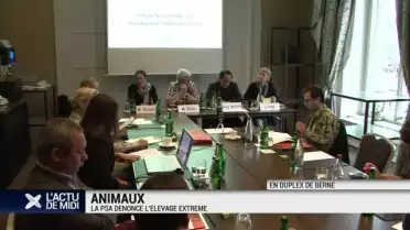 Elevage extrême d’animaux : ce qui va changer