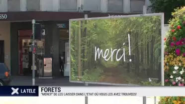 Respecter les forêts