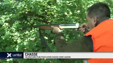 Un broyard puni après avoir chassé hors-saison