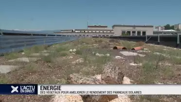 Palais de Beaulieu : des végétaux au secours du solaire