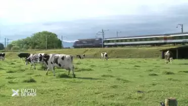 Pas de train entre Fribourg et Payerne cet été