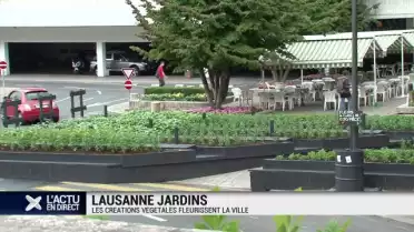 Les créations végétales fleurissent en ville
