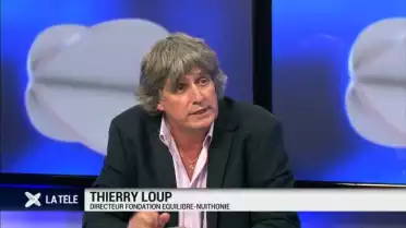 Nuithonie et Equilibre dévoilent la programmation 2014-2015