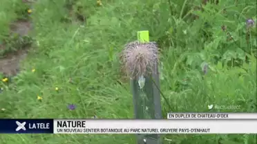 A la découverte du sentier botanique au parc naturel Gruyère