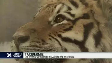 Une seconde vie pour les animaux du Zoo de Servion