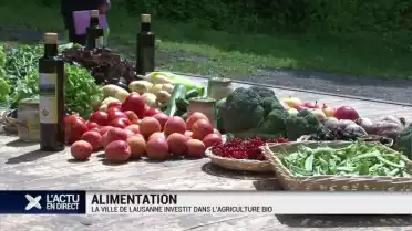 Plus de bio dans les cantines