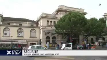 La ville de Vevey va abattre 20 arbres