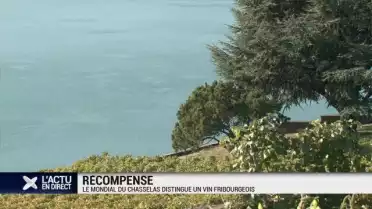 Le domaine des Faverges mondialement distingué