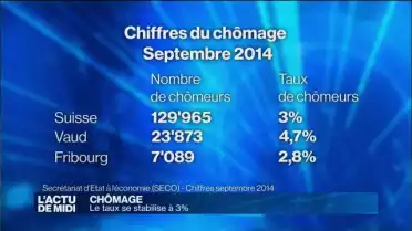Chômage : le taux stagne à 3%