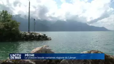 Le poisson boude certaines régions du Léman