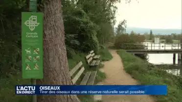 Tirer des oiseaux dans leurs réserves pourrait être possible