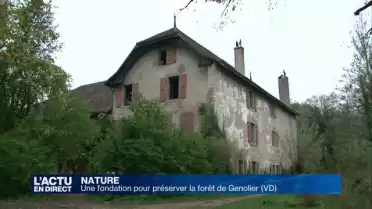 Une fondation pour préserver la forêt de Genolier