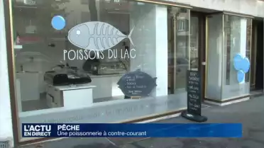 Une poissonnerie à contre-courant