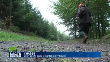 La chasse est terminée dans le canton de Fribourg