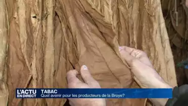 Quel avenir pour les producteurs de tabac de la Broye ?