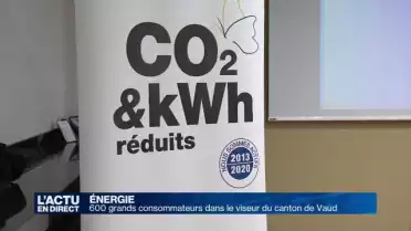 600 grands consommateurs dans le viseur du canton de Vaud