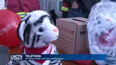 La télé se mobilise pour le téléthon 2014