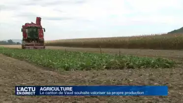 Le canton de Vaud veut valoriser sa production agricole