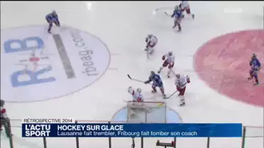 Rétrospective sport 2014: le Hockey