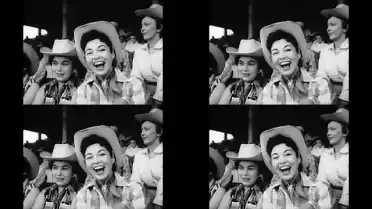 Nénuphar is what we are - In the lost and found